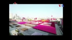 Truyền hình vệ tinh VOA 29/10/2015 Truyền hình vệ tinh VOA 29/10/2015