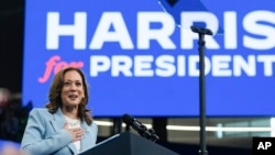 资料照片:2024年7月30日,副总统卡玛拉·哈里斯在亚特兰大的竞选集会上发表讲话。(美联社照片)