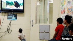小孩在美国拘留中心看电视