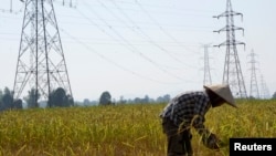 一个老挝农民在田间劳动,附近是大坝的高压电线。(资料照片)