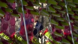 国会前广场上束束鲜花传递爱 国会前广场上束束鲜花传递爱