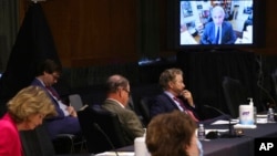 安东尼·弗契在参议院卫生、教育、劳工和退休金委员会远程作证。（2020年5月12日）