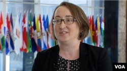 美国国务院亚太副助卿科林·威利特星期三在国务院接受美国之音专访 (2016年7月13日)