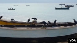 印尼海边渔船。印尼称,外籍船只的非法捕捞,致使其渔业每年蒙受超过200亿美元的损失。(美国之音朱诺拍摄,2016年3月6日)