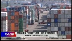 时事大家谈:贸易战事关“中国梦”成败,习近平无路可退? 时事大家谈:贸易战事关“中国梦”成败,习近平无路可退?