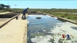 法国推出卖鲜牡蛎的自动售货机 法国推出卖鲜牡蛎的自动售货机