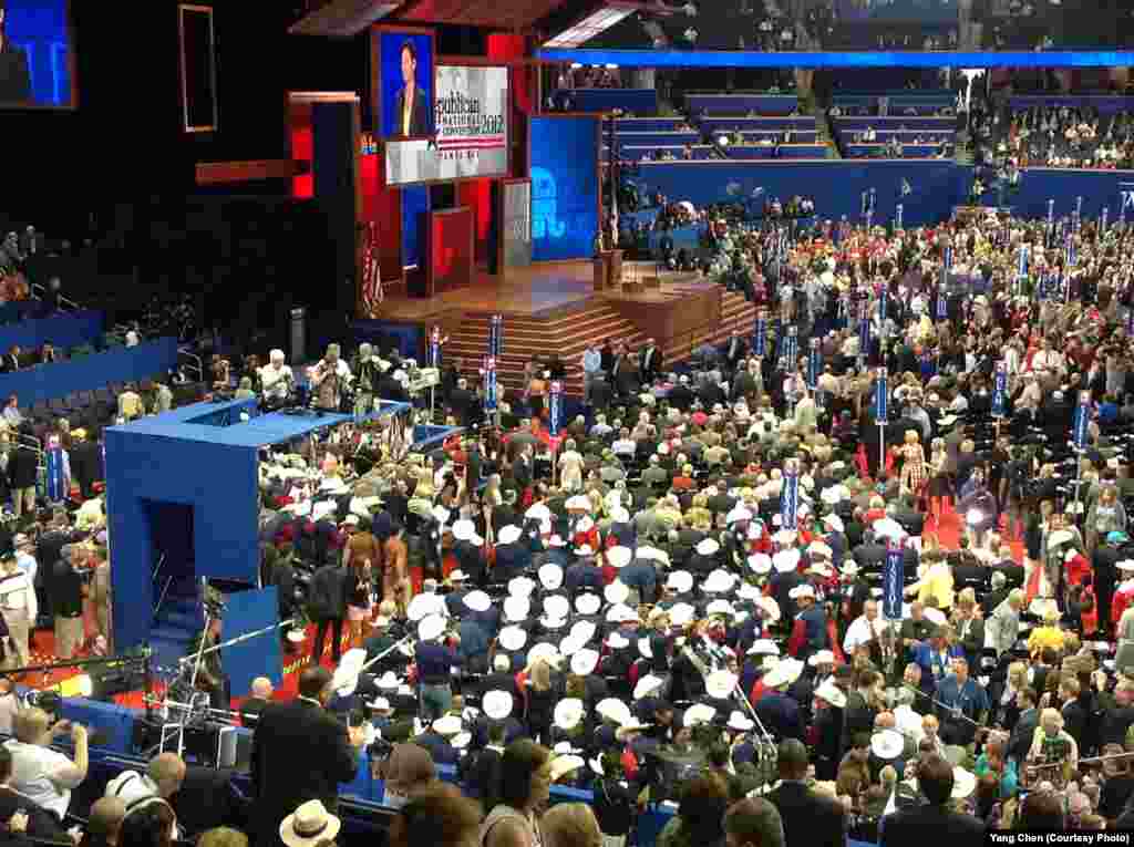 一片牛仔帽的德克萨斯代表团。