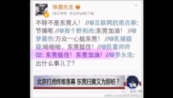 时事大家谈:北京打虎终难落幕,东莞扫黄又为那桩? 时事大家谈:北京打虎终难落幕,东莞扫黄又为那桩?
