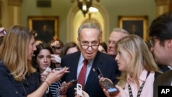 美国国会资深民主党参议员舒默在华盛顿国会山回答记者问题(2014年7月29日)