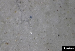 Mikroplastik yang ditemukan dalam sampel inti es yang diambil oleh Proyek Northwest Passage pimpinan AS ditampilkan dalam layar. Proyek tersebut berlangsung selama 18 hari pada Juli dan Agustus 2019. (Foto: Reuters)