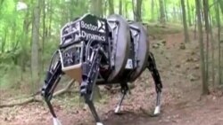 Các nhóm nhân quyền chống 'Robot giết người' Các nhóm nhân quyền chống 'Robot giết người'