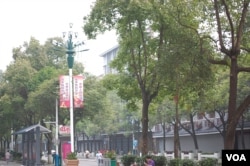 芷江街上路灯柱上的标语(美国之音林森拍摄)