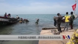 外国渔船大肆捕捞,西非渔业资源走向枯竭 外国渔船大肆捕捞,西非渔业资源走向枯竭