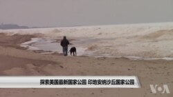 美国新增国家公园:印地安纳州沙丘公园 美国新增国家公园:印地安纳州沙丘公园