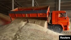 资料照片:俄罗斯斯塔夫罗波尔地区的一位农民在谷仓里卸下谷物(2019年7月4号)