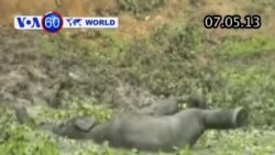 Voi con được cứu từ dưới hào ở Ấn Độ (VOA60) Voi con được cứu từ dưới hào ở Ấn Độ (VOA60)