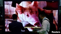 在上海国际进口博览会上展示的进口猪肉广告。(2019年11月6日)