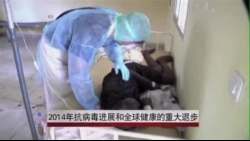 2014年:人类疾病控制的进展和挫折 2014年:人类疾病控制的进展和挫折