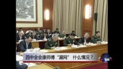时事大家谈:四中全会康师傅“漏网”,什么情况? 时事大家谈:四中全会康师傅“漏网”,什么情况?