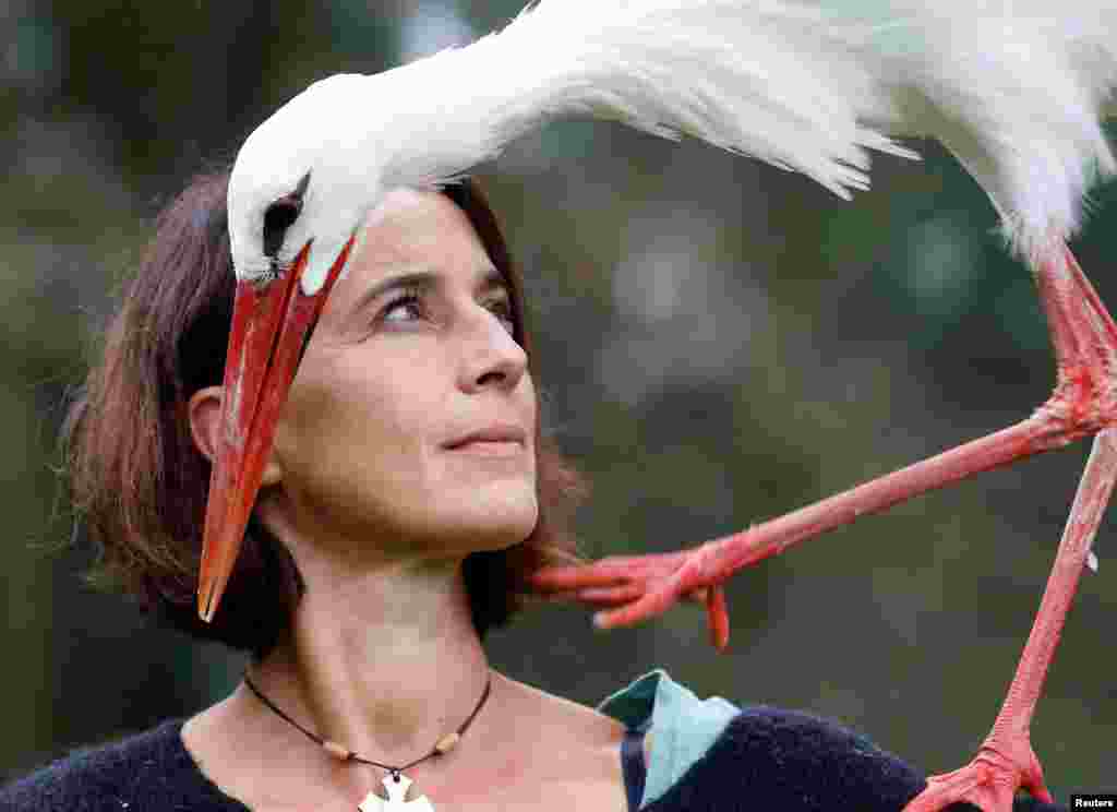 训鸟师Valerie Recher在法国图卢兹附近训练一只鹳(stork),2018年10月26日。