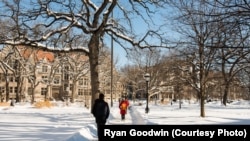 资料照片:芝加哥大学校园。