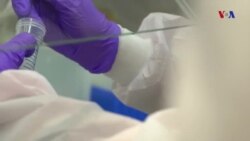 Anthony Fauci Anthony Fauci