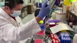 抗体疗法遏止新冠病毒恶化颇见成效 抗体疗法遏止新冠病毒恶化颇见成效