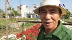 Hạ Lũng, một làng hoa sắp mất Hạ Lũng, một làng hoa sắp mất