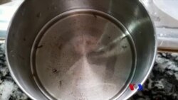 မိုးရာသီ အအေးမိရောဂါနဲ့ ခြင်အန္တရာယ် မိုးရာသီ အအေးမိရောဂါနဲ့ ခြင်အန္တရာယ်