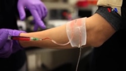 Băng dán 'thông minh' có thể làm lành vết thương nhanh hơn Băng dán 'thông minh' có thể làm lành vết thương nhanh hơn