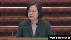 2020年3月19日台湾总统蔡英文在台北总统府针对新冠病毒疫情发表讲话。(台湾总统府视频截图)