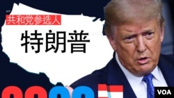 2020年共和党总统参选人特朗普