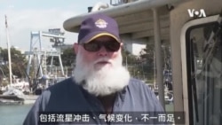 末代棱皮海龟的生路在人类手里 末代棱皮海龟的生路在人类手里