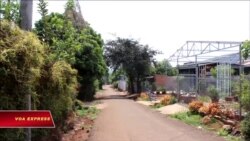 Làng 50 sau 1975 Làng 50 sau 1975