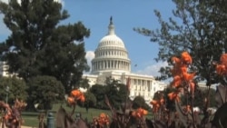 Quan hệ Mỹ-Á và chuyến đi Mỹ của Chủ tịch nước Việt Nam Quan hệ Mỹ-Á và chuyến đi Mỹ của Chủ tịch nước Việt Nam