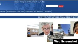 联合国人权理事会网站视频截图(资料图片)