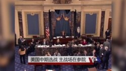 美国中期选战 主战场在参院 美国中期选战 主战场在参院