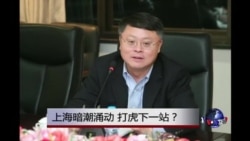 时事大家谈:上海暗潮涌动,打虎下一站? 时事大家谈:上海暗潮涌动,打虎下一站?