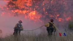 消防人员奋力拼搏 加州大火本周减弱 消防人员奋力拼搏 加州大火本周减弱