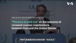 国际原子能机构负责人：美伊核谈判“尚无定论” 