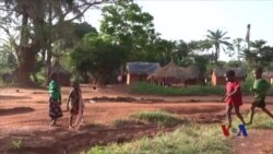 因非盟部队保护 圣主抵抗军威胁减小 因非盟部队保护 圣主抵抗军威胁减小