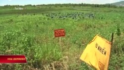 Mỹ hoàn tất giai đoạn 2 xử lý dioxin ở Đà Nẵng Mỹ hoàn tất giai đoạn 2 xử lý dioxin ở Đà Nẵng