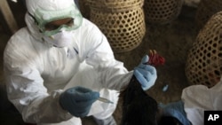 A visitor walks next to a sand sculpture on elections made by sand artist Sudarshan Pattnaik at a beach at Puri in the eastern Indian state of Odisha. Around 815 million people have registered to vote in the world's biggest election.
