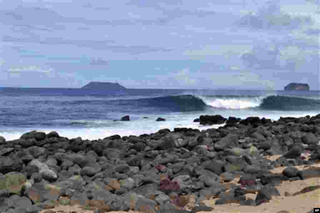 厄瓜多尔加拉帕戈斯群岛。厄瓜多尔环境部长说,厄瓜多尔法庭下令拘留一艘渔船上的约20名船员。早些时候,厄瓜多尔当局在该国加拉帕戈斯群岛海洋保护区拦截了那艘渔船。厄瓜多尔环境部长格拉尼佐说,“那条渔船上的捕获不一定都是来自海洋保护区,但是,捕获物当中包括幼小的鲨鱼显示,这些鱼可能来自保护区。” 以其生物多样性著称的加拉帕戈斯群岛保护区被列为联合国教科文组织的世界遗产。英国学者达尔文的名著《论物种起源》的部分灵感就来自他在那里的所见。