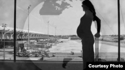 怀孕妇女旅游慎防蚊虫(CDC image)