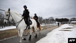 Sejumlah anggota polisi berjalan menaiki kuda mereka melewati pagar pembatas keamanan di Washington, DC, pada 18 Januari 2025, menjelang pelantikan Donald Trump sebagai presiden AS. (Foto: AFP/Andrew Caballero-Reynolds)