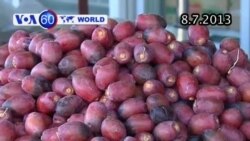 Ai Cập đứng trước nguy cơ rơi vào nội chiến (VOA60) Ai Cập đứng trước nguy cơ rơi vào nội chiến (VOA60)