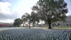 首都华盛顿插起20万旗帜 悼念新冠疫情夺去的生命 首都华盛顿插起20万旗帜 悼念新冠疫情夺去的生命