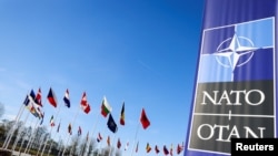 北大西洋公约组织(NATO)即将于7月9日至11日在华盛顿举行75周年峰会,此次峰会的焦点预计放在乌克兰总统泽连斯基(Volodymyr Zelensky)身上。