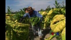 全面移民改革法或将成为美新国会工作重点 全面移民改革法或将成为美新国会工作重点